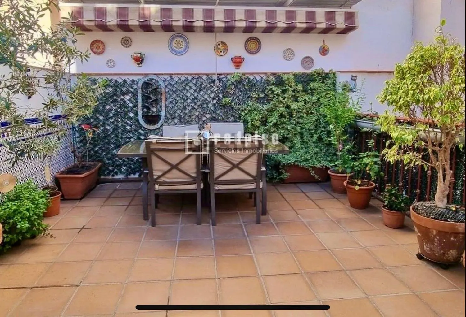 Apartment Maravilloso Apartamento Centrico De 70M2, Jardin Propio 40M2 Con Piscina Para Ninos Y Parking Opcional Malaga Spain