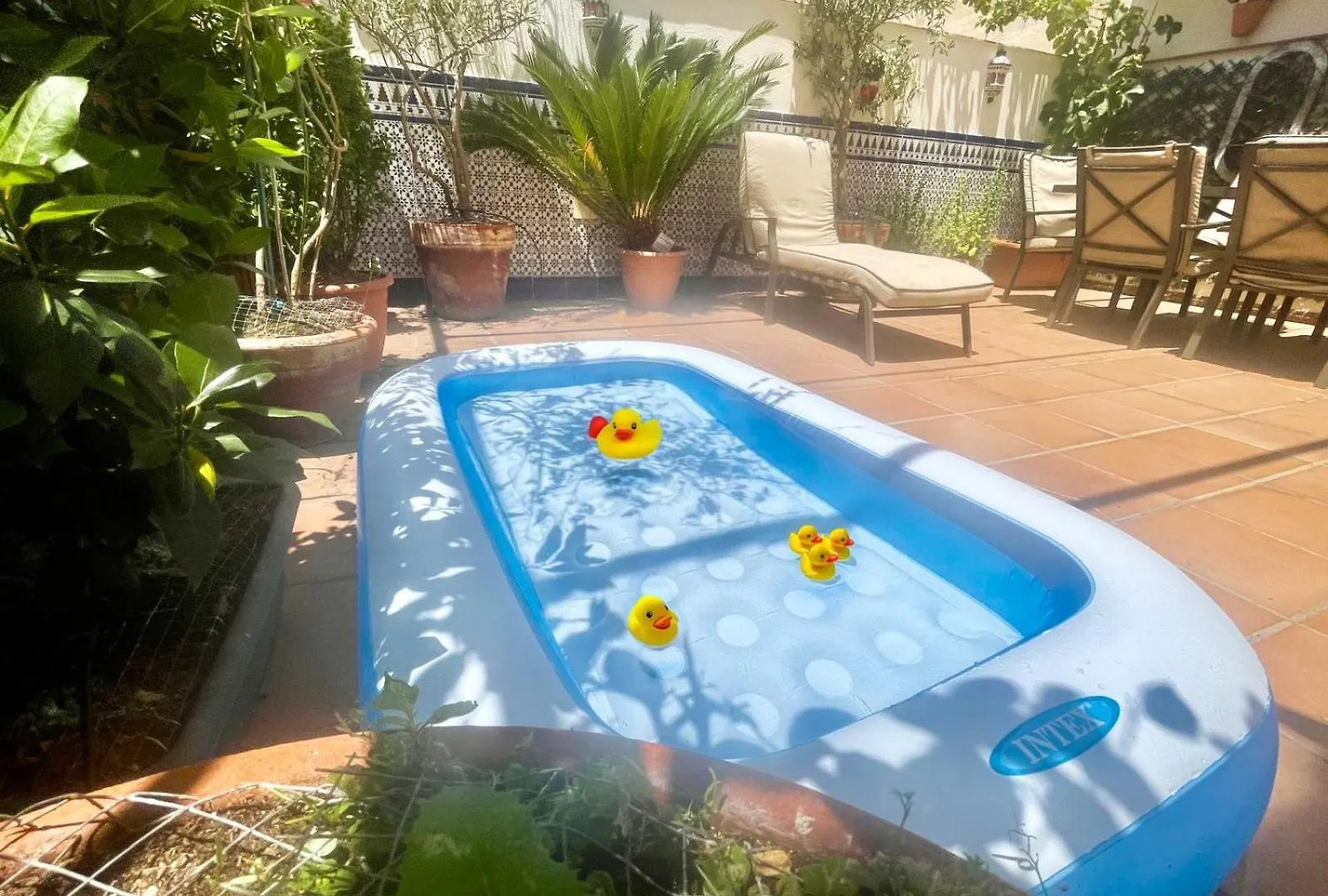 Maravilloso Apartamento Centrico De 70M2, Jardin Propio 40M2 Con Piscina Para Ninos Y Parking Opcional Málaga